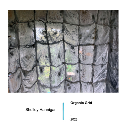 Shelley Hannigan
